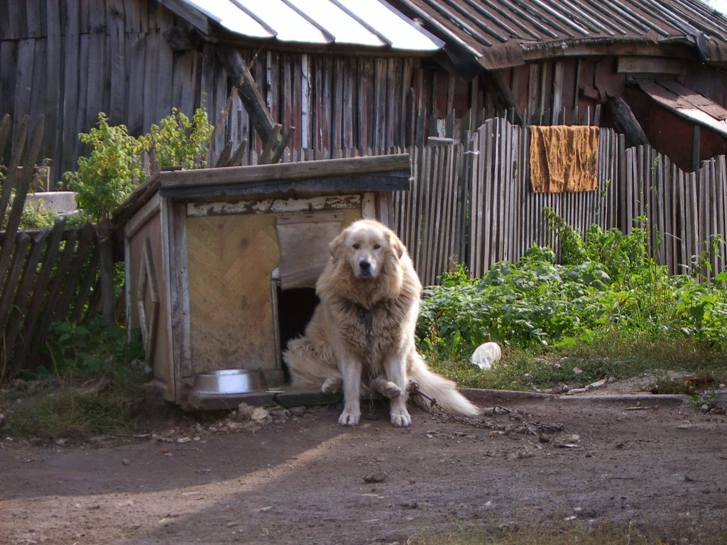 страж