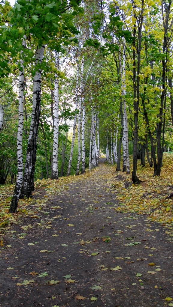 Золотая аллея