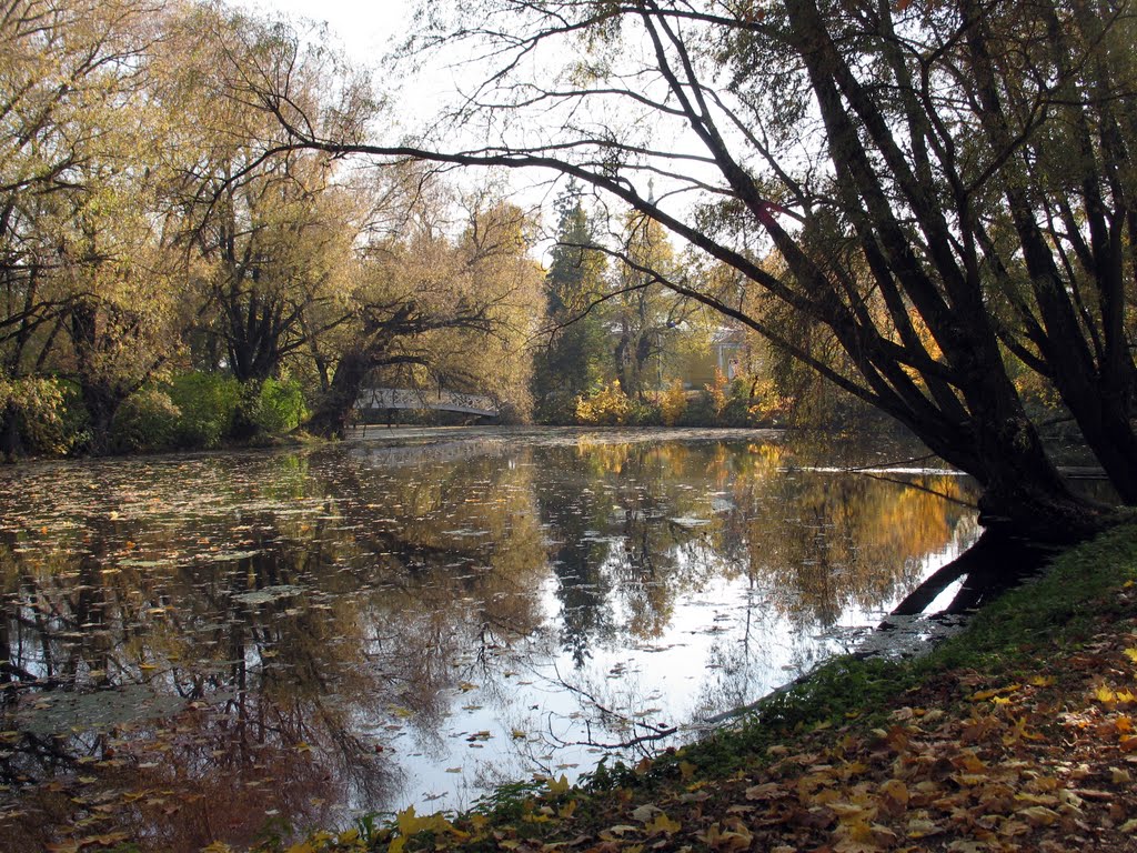 2005-10 Болдинская осень