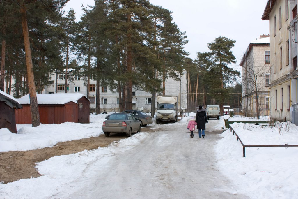 Жилые дома (2009.03.07)
