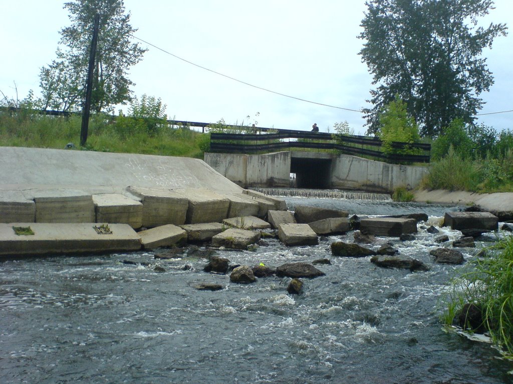 The stream