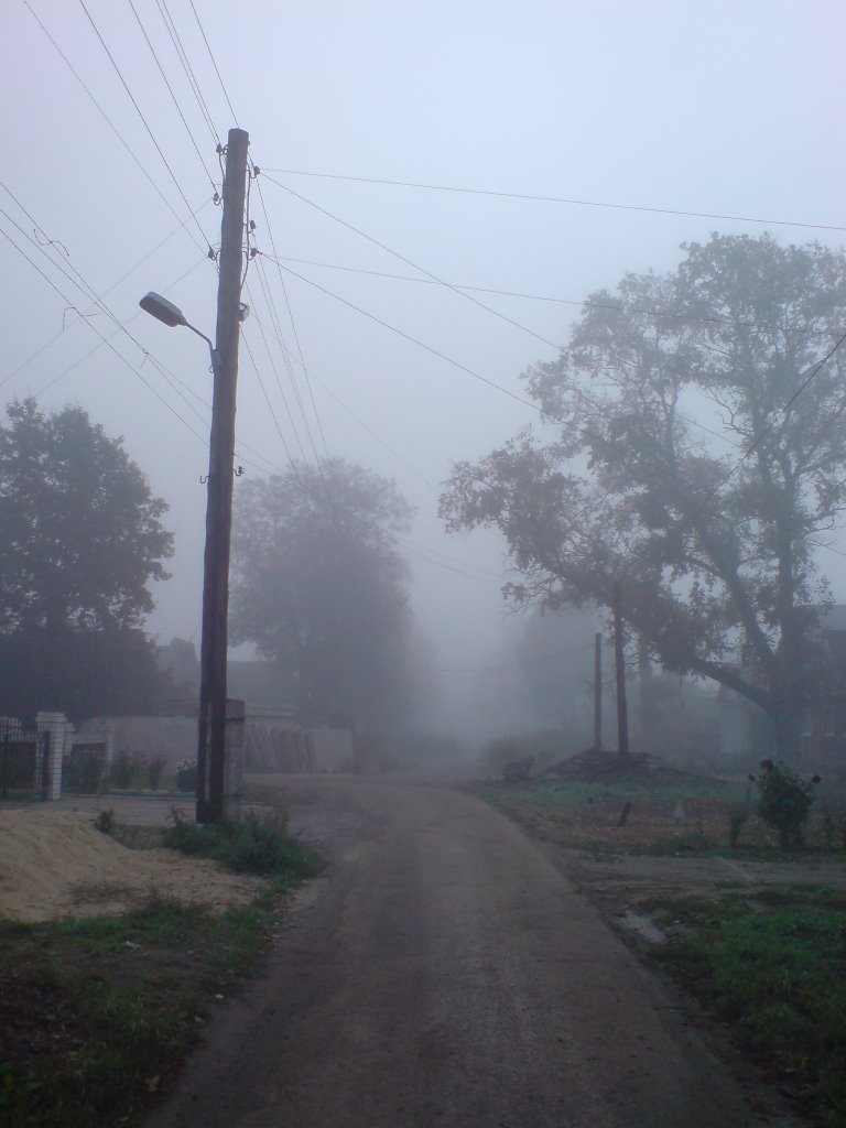 Большое Козино