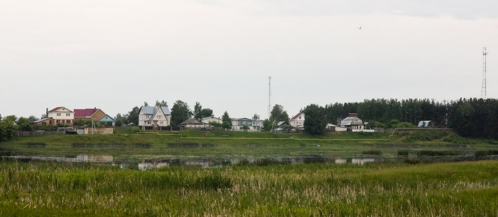 Посёлок на берегу (2010.06.08)