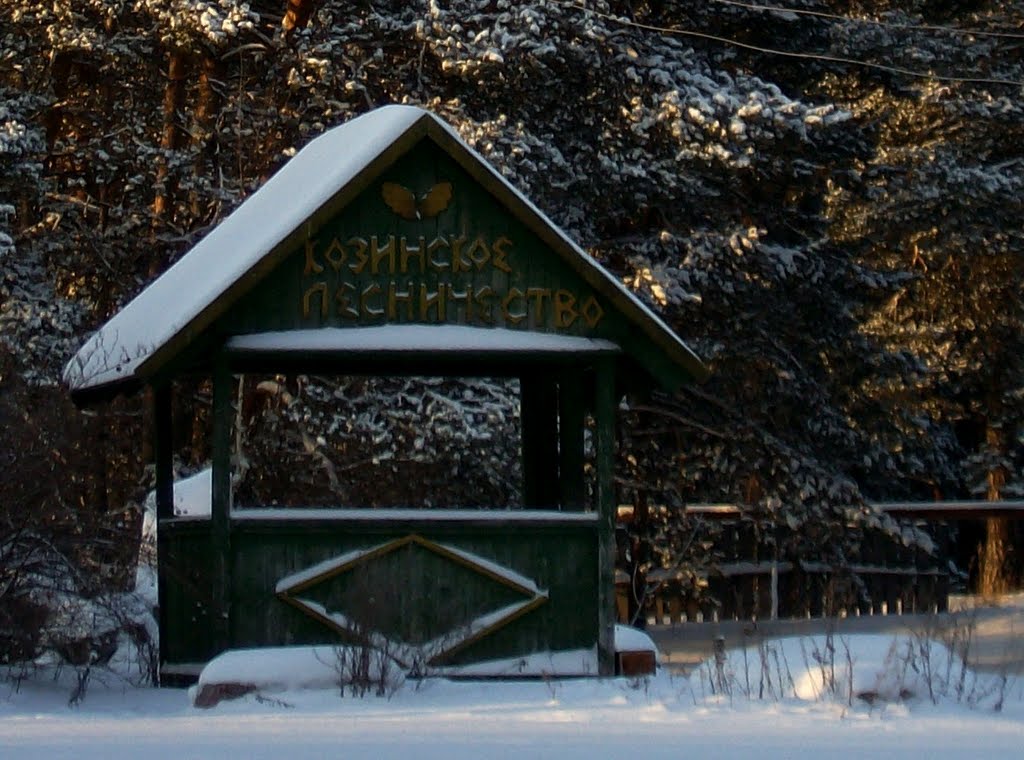 Лесничество