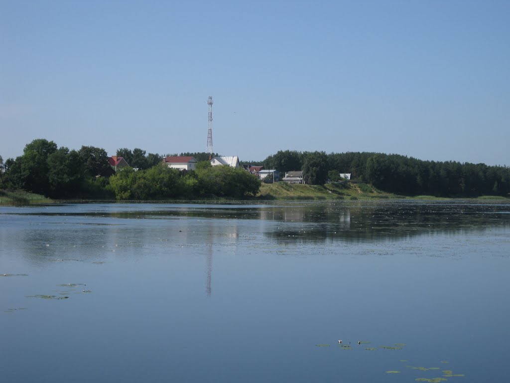 Большое Козино, пруд
