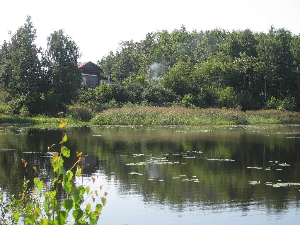 Большое Козино, пруд