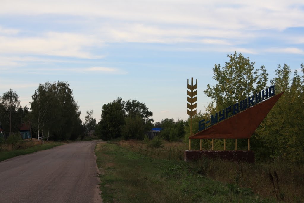 Въезд со стороны Бутурлино
