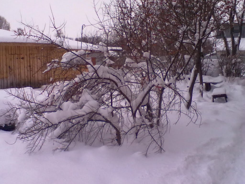 Двор дома №3 по улице Школьная