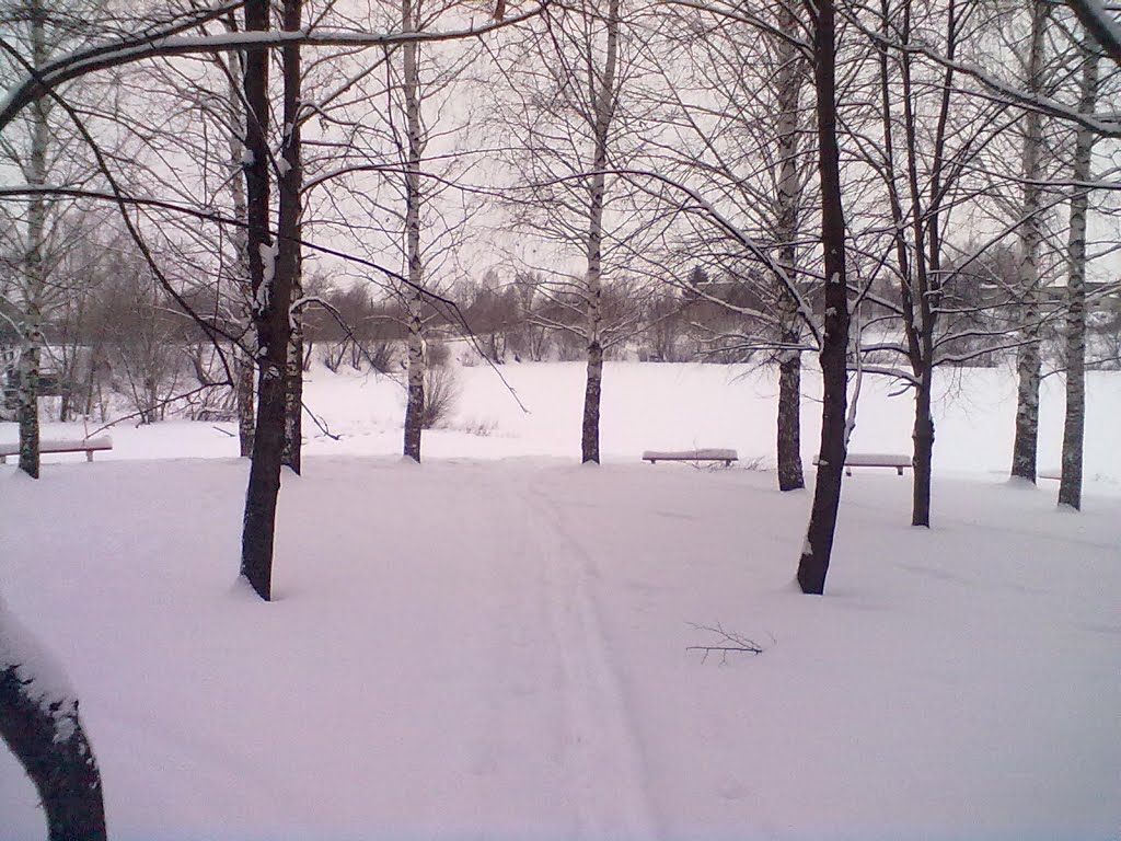 Лыжня в Парке Победы