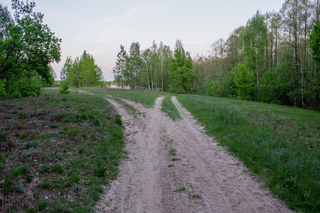 Развилка
