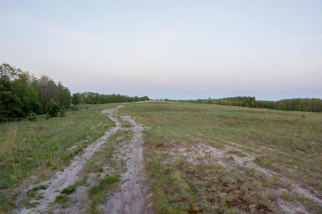 Дорога