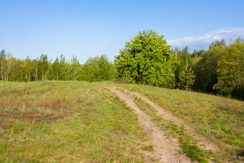 Дорога