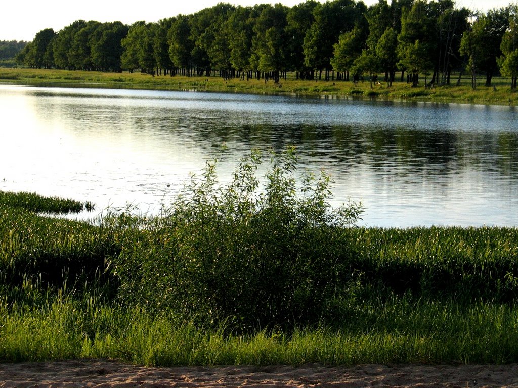 Oktyabrsky pos.