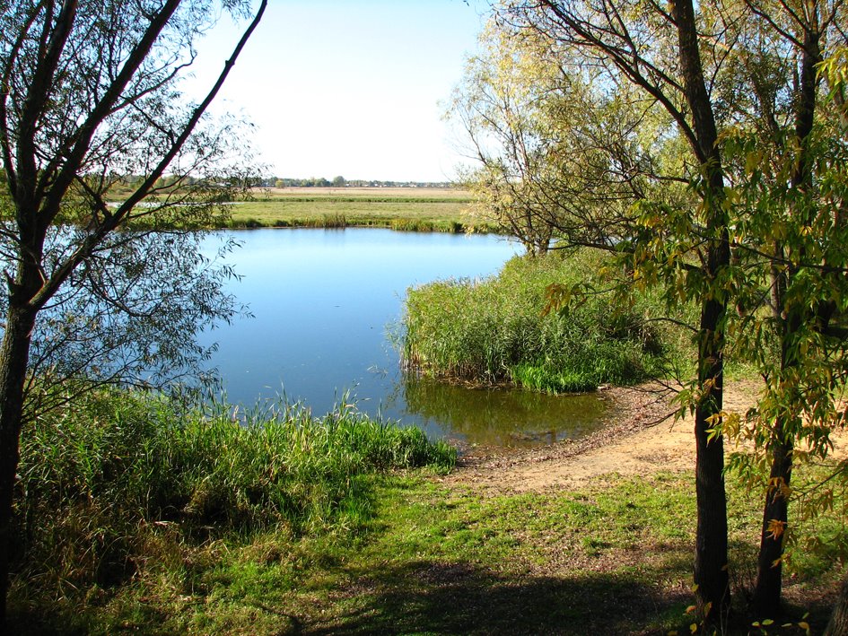 Creek of Pjana near Buturlino