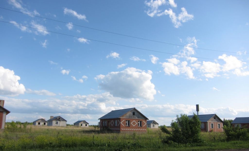 homes for young professionals