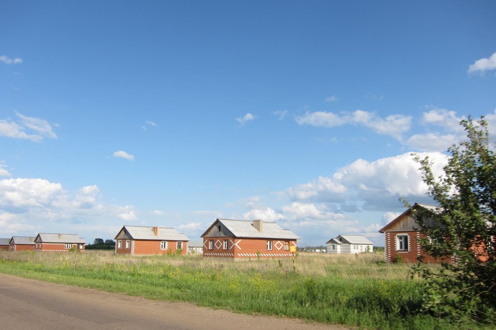 Homes for professionals