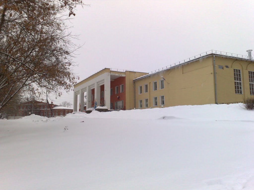 Дом культуры, Библиотека