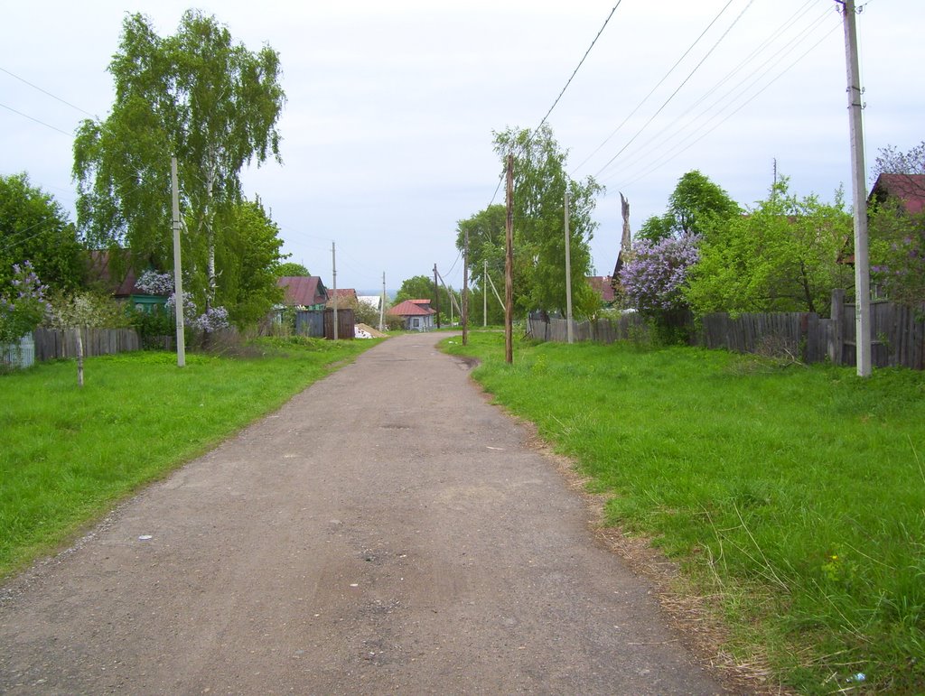 Karl Marx St. looking towards the Volga