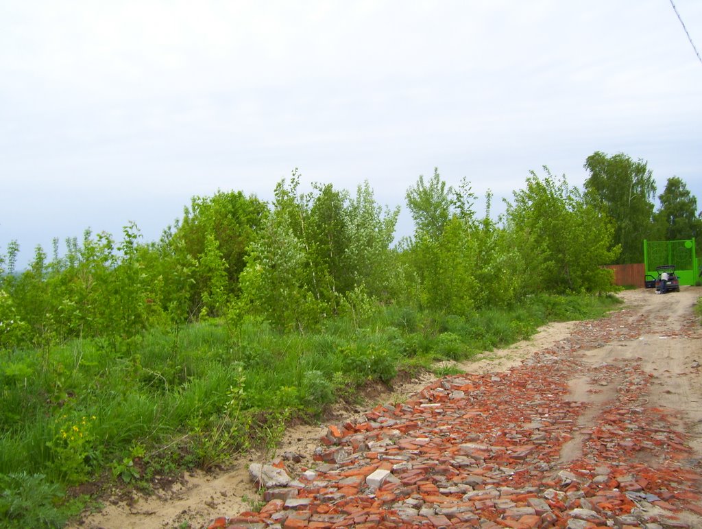 The Volga