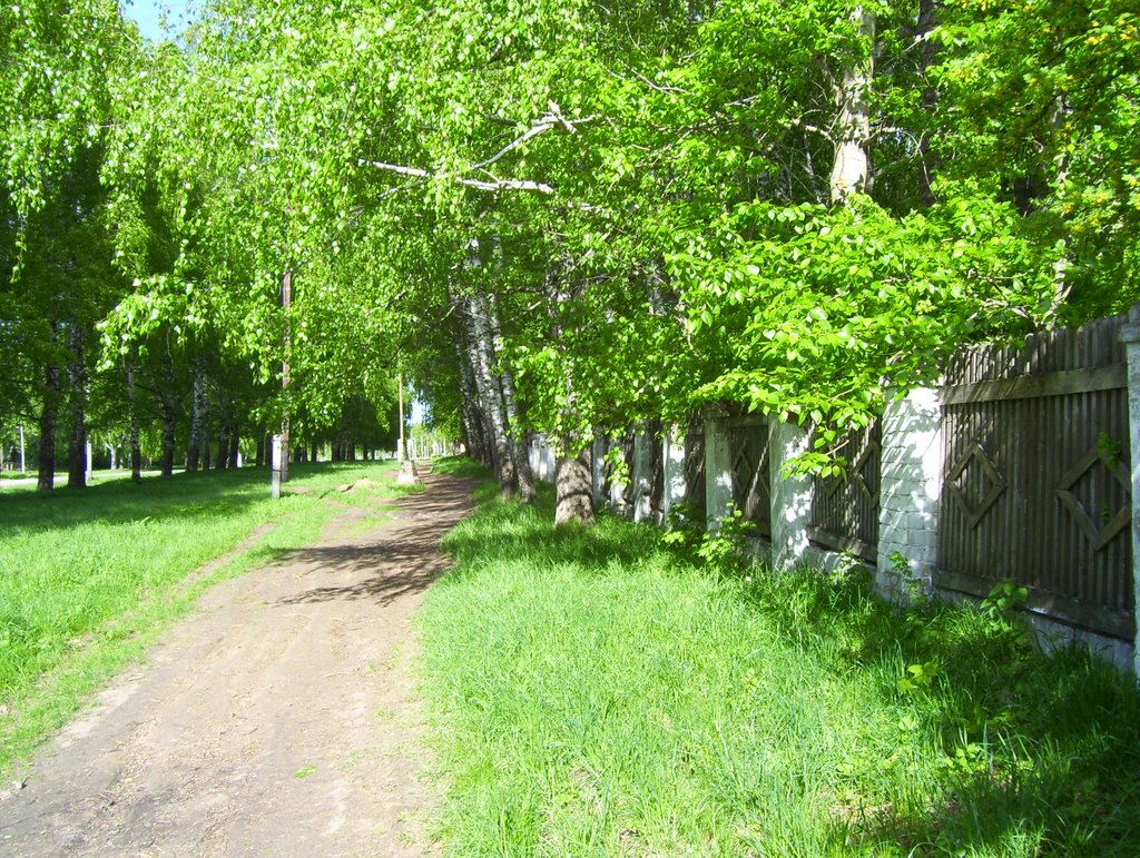 Near the House of Rest #1