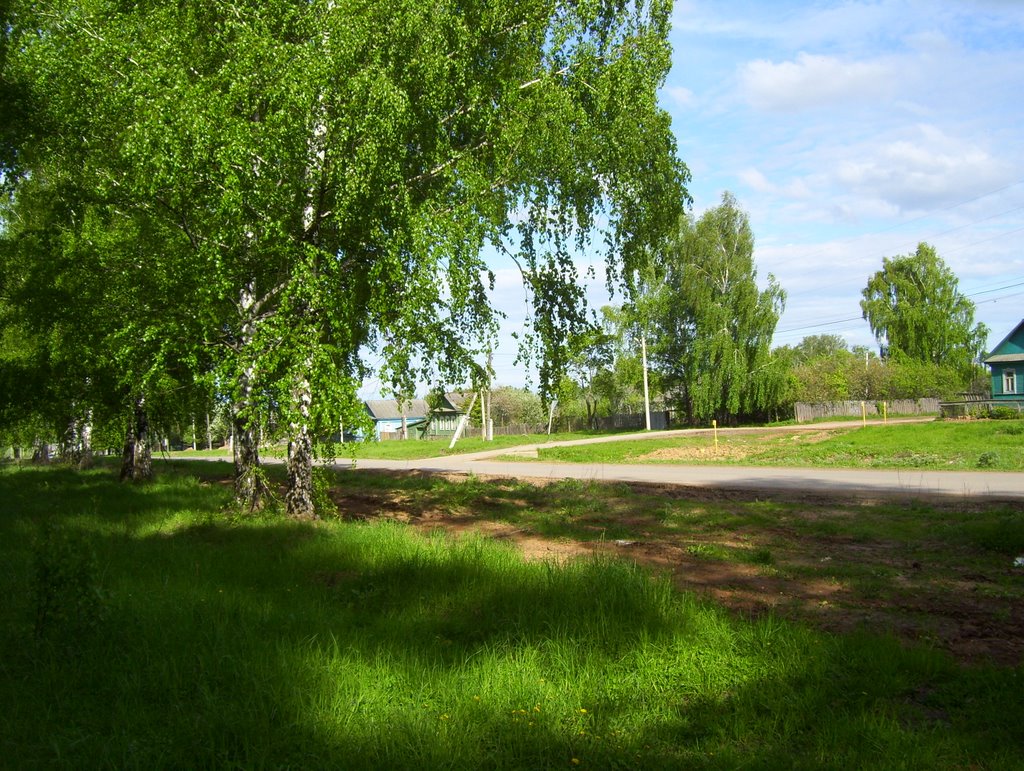 Sovetskaya St birches