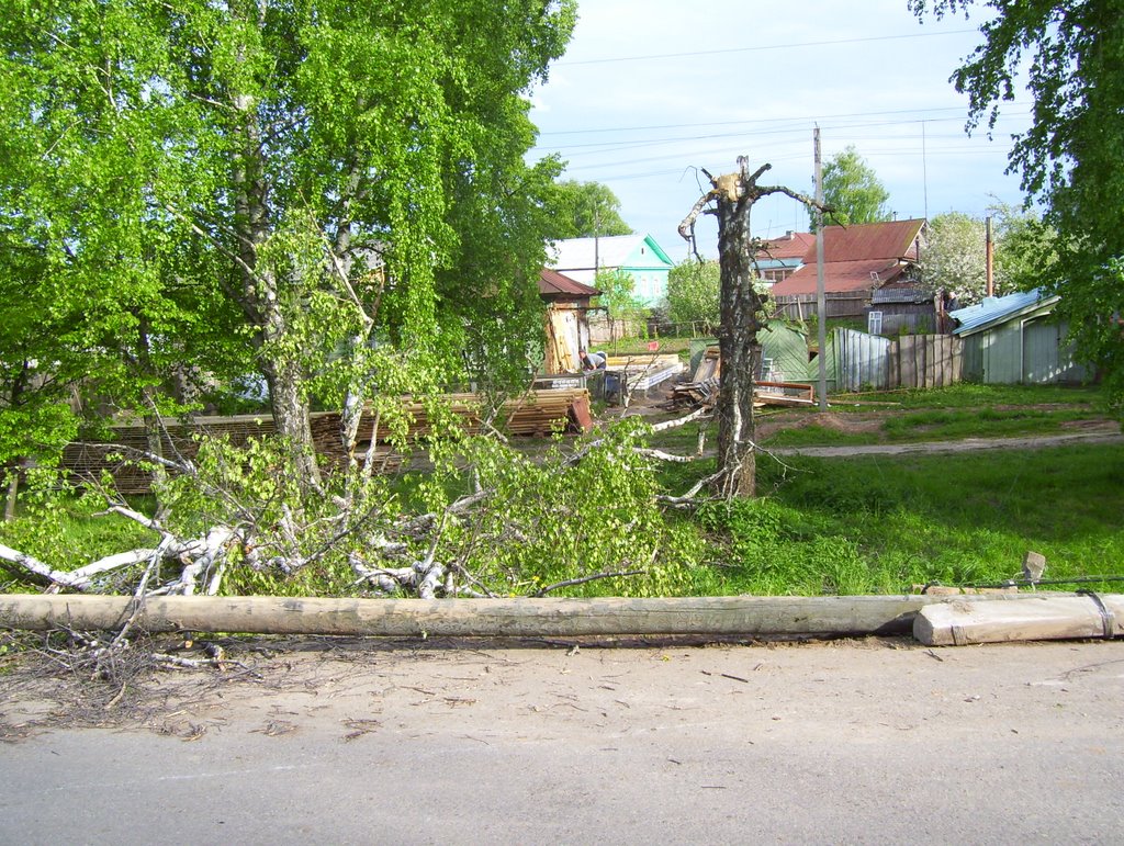 Possible thunderstorm damage