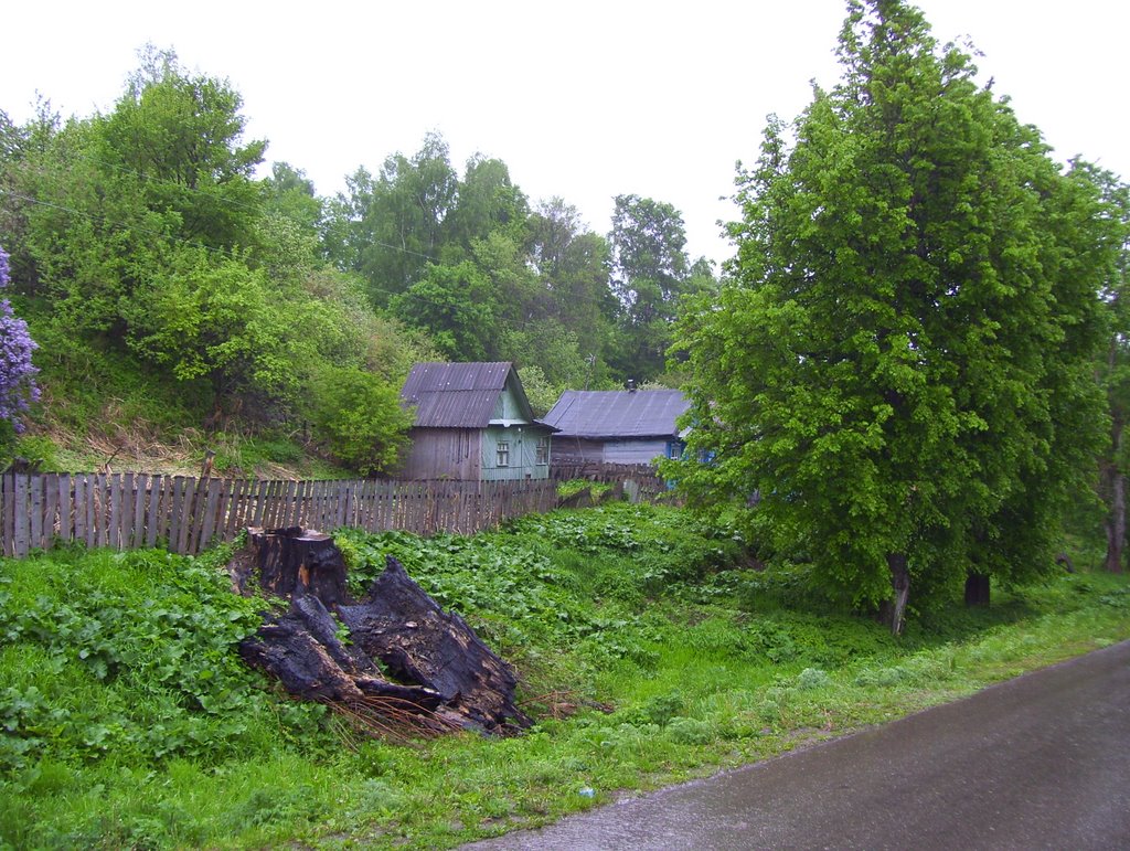 Sovetskaya St going down