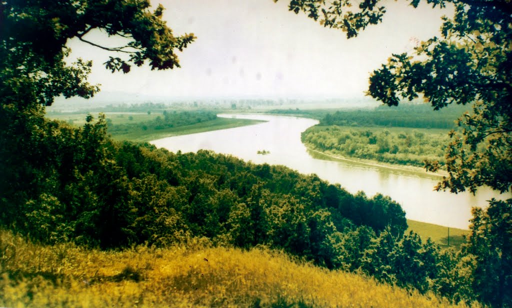 Река Сура с Шишкина мыса (старое фото)