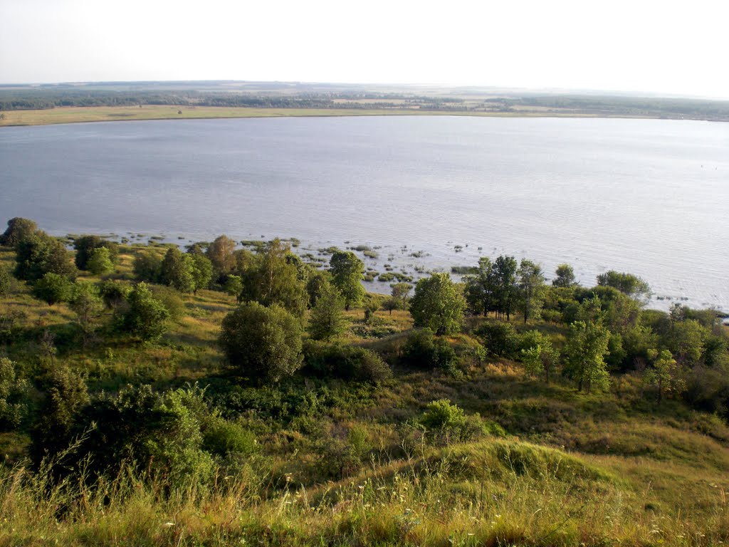 Сура у устья