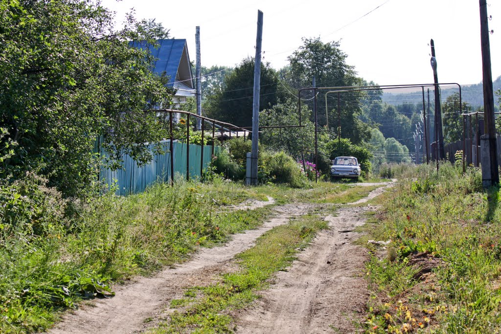 Vacha, russian countryside