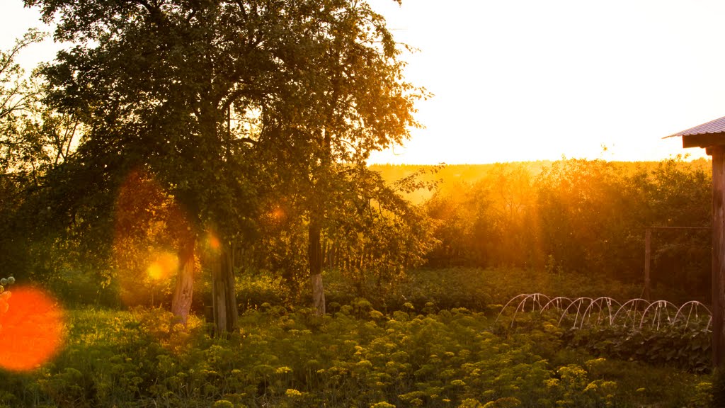 russian countryside sunset