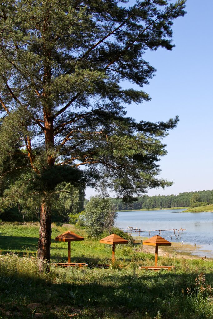 summer