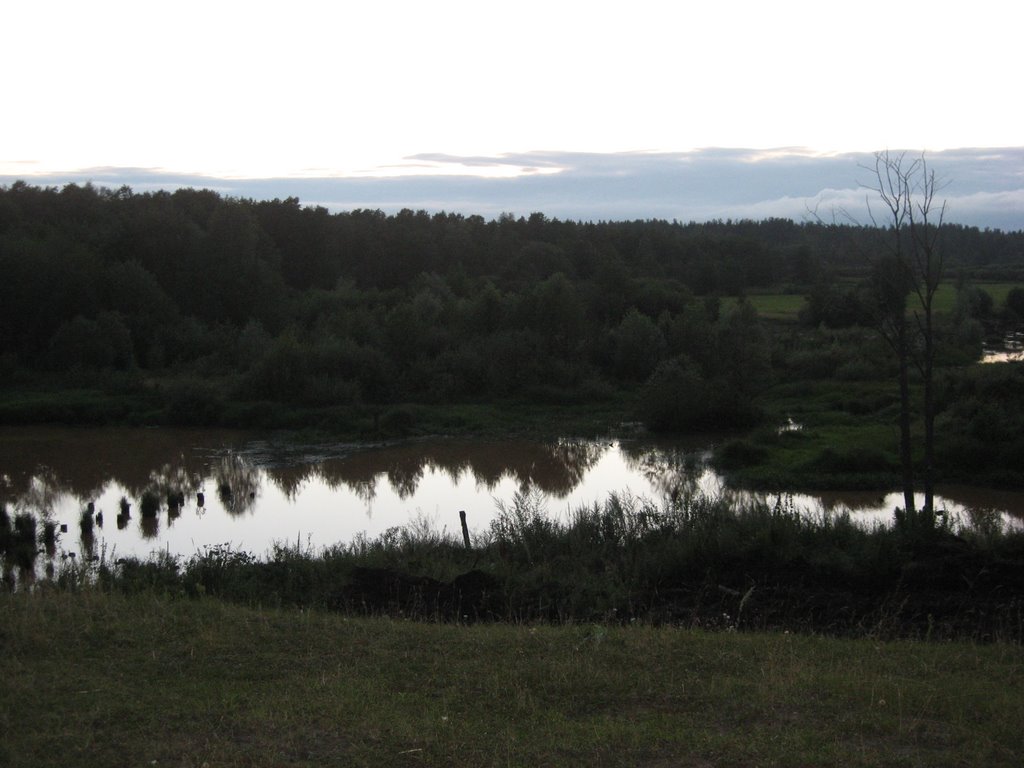 Бучилы