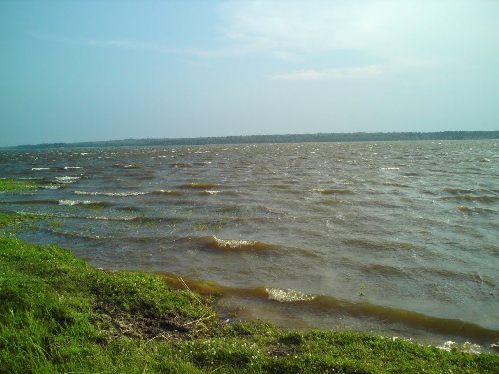 куп куп))