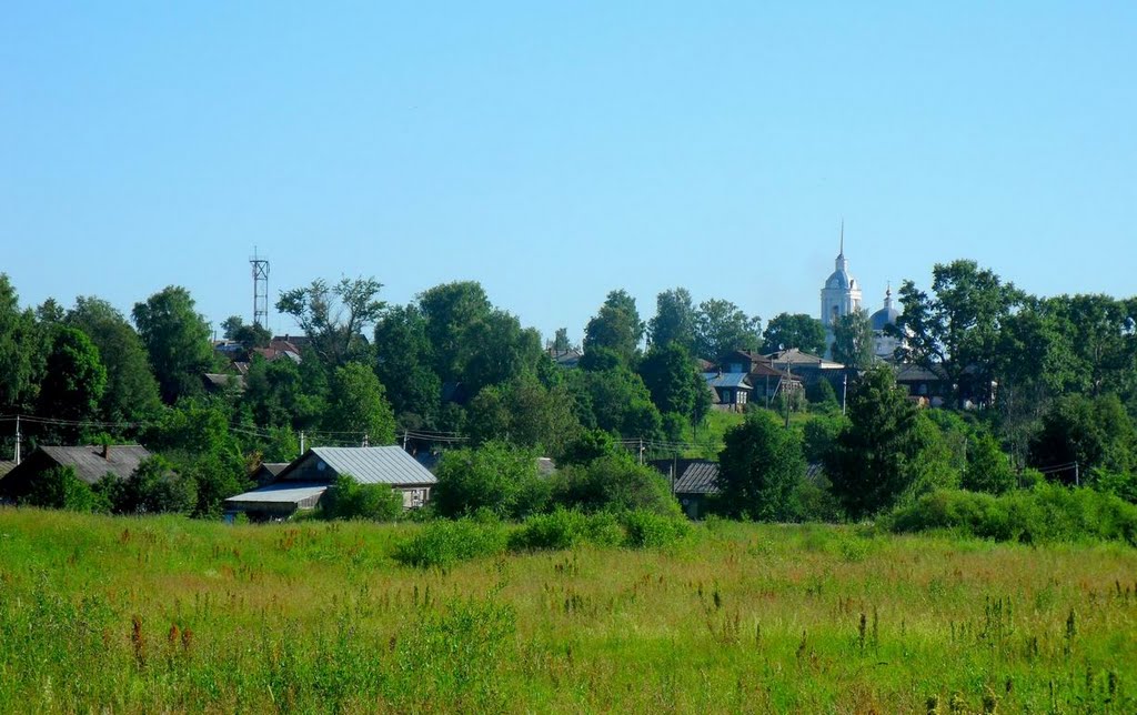 Ветлужская "Мартыновка"