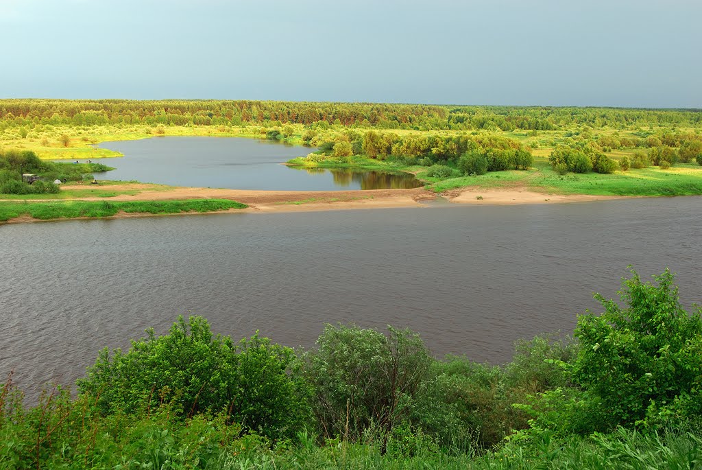 Vetluga