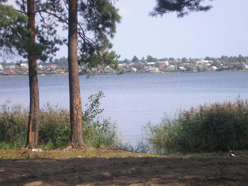 Вильский пруд