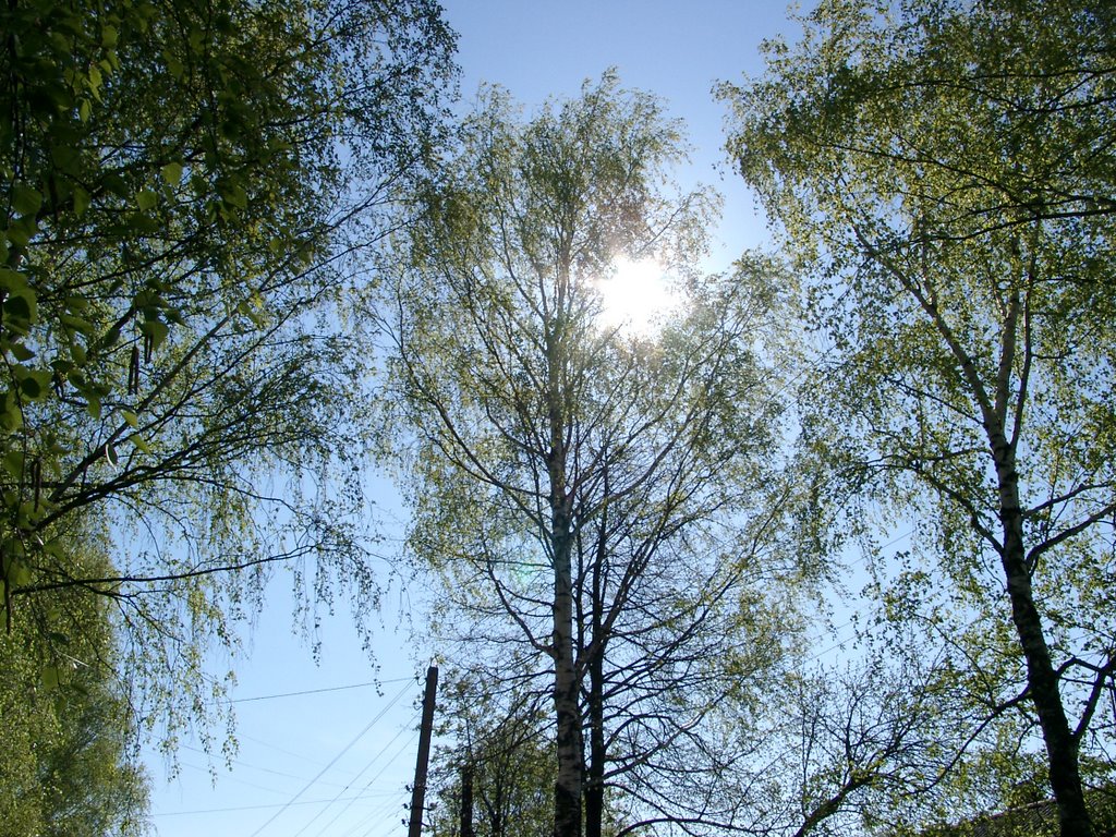 sunny day