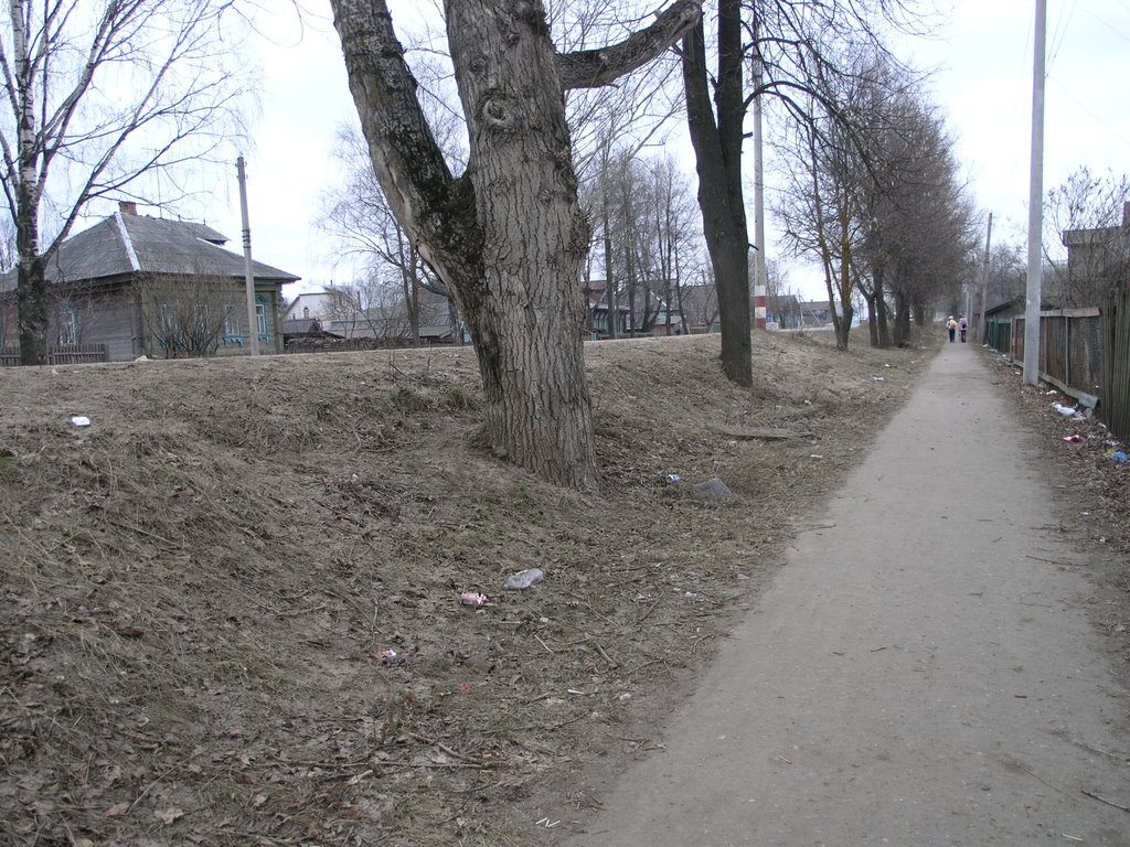 Voskresenskoe March 2006