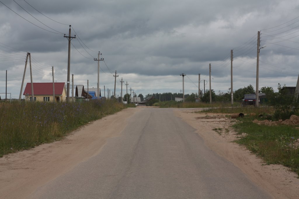 Rural roads 2009