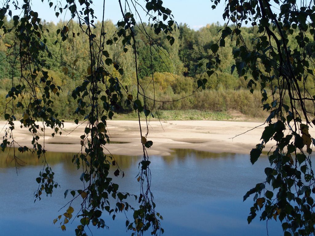 Vetluga