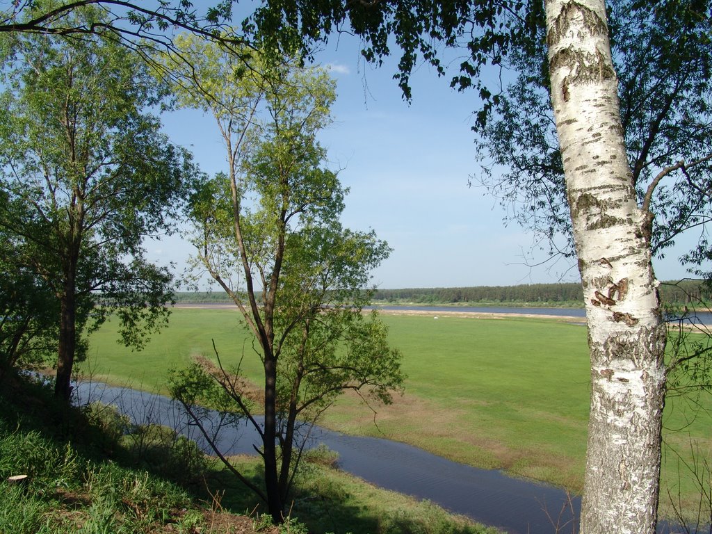 Vetluga (spring)