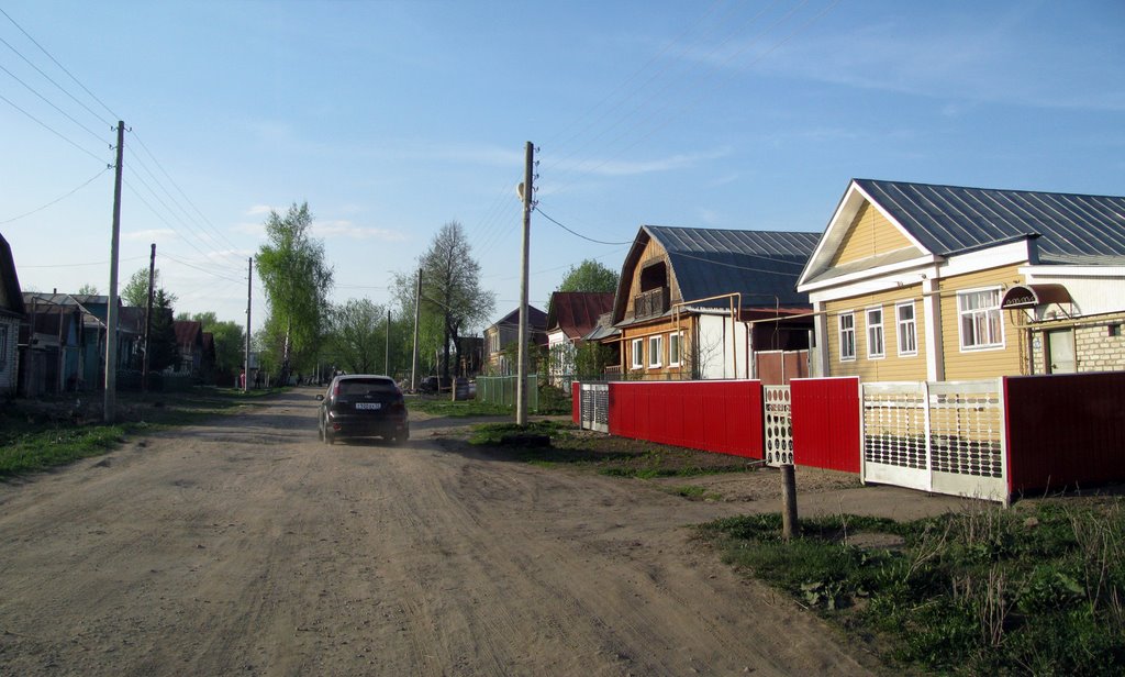 Выездновские дома