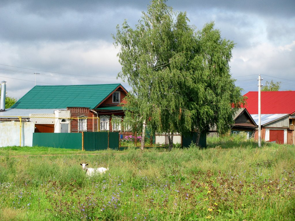 Коза пасётся