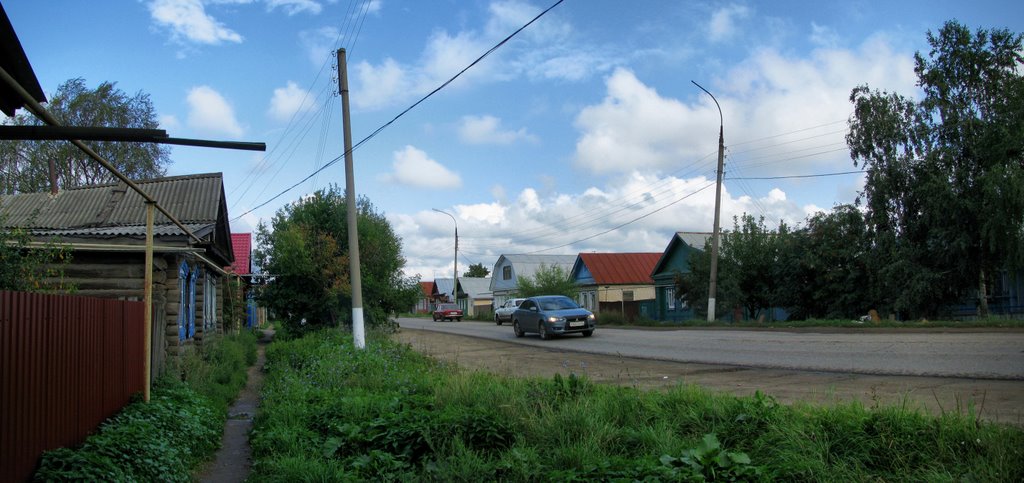 улица Выездного с дорогой