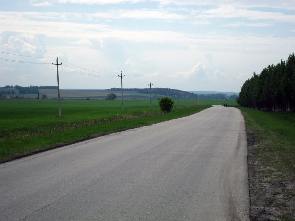 Road to Noviy Usad