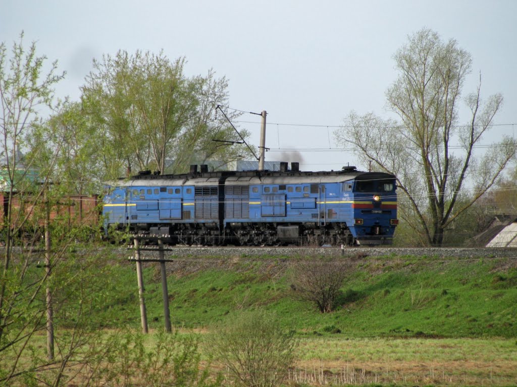 train