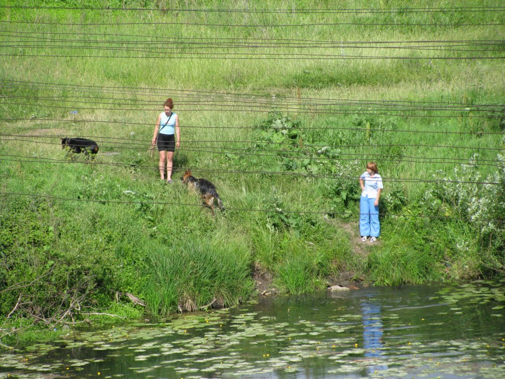 Dog likers