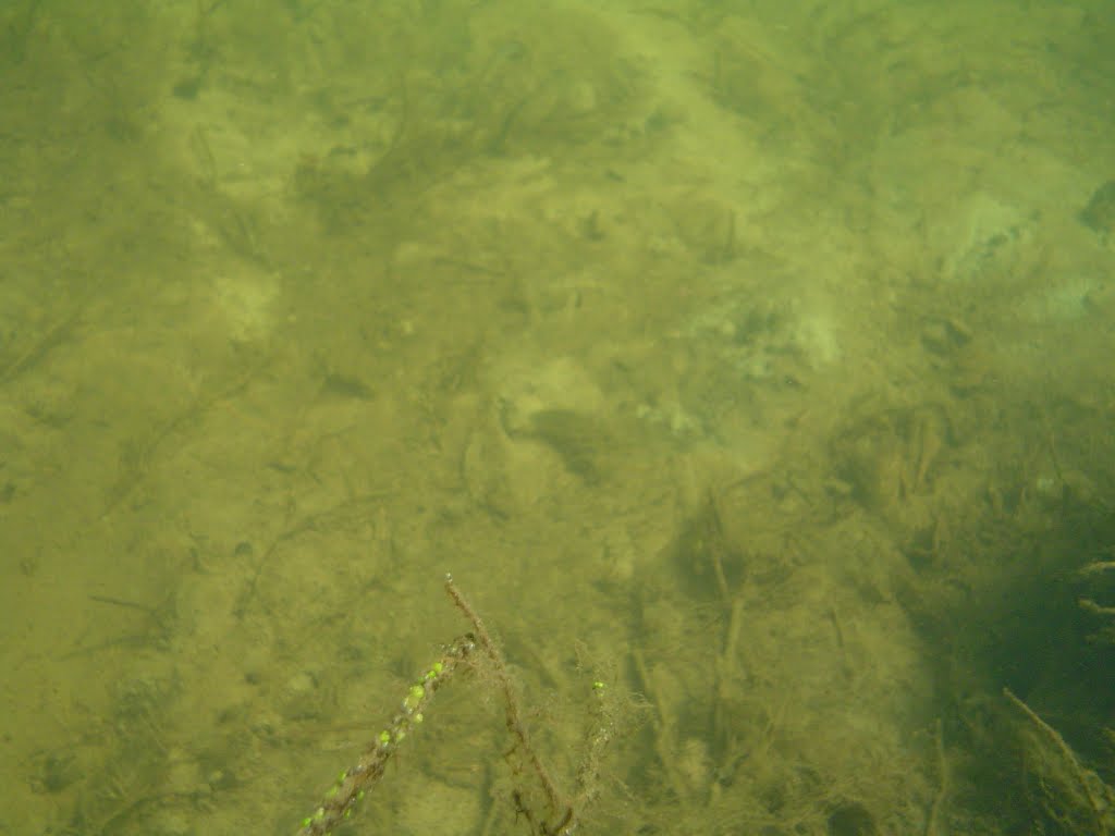 river water