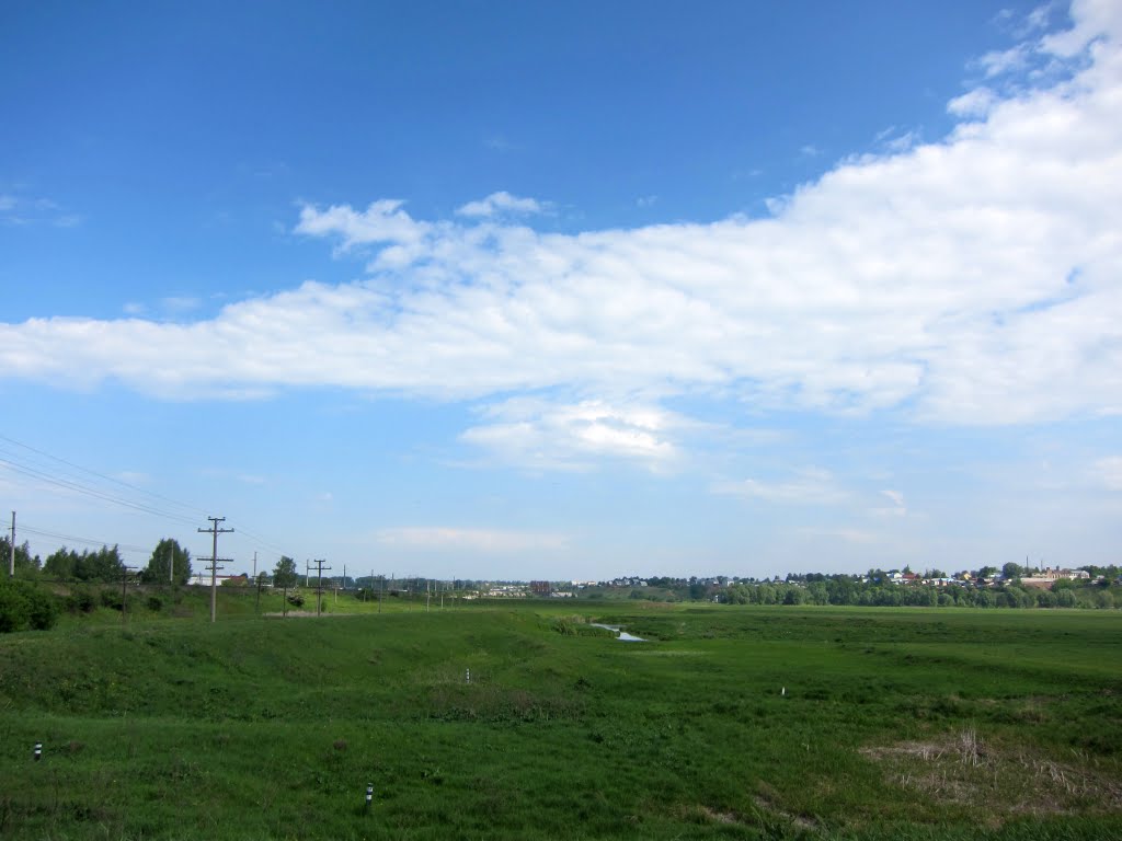 Grasslands